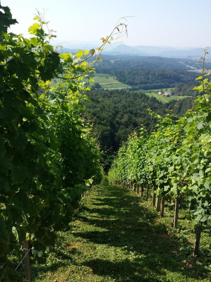 Vineyard Paradise Senica Dramlje Eksteriør bilde
